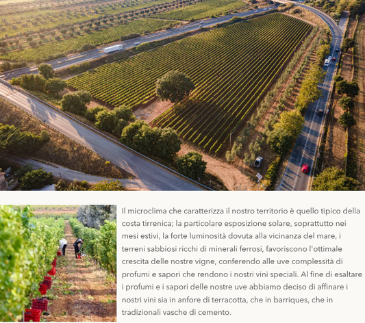 Agricola Le Querce - Clarette 2024 - Vermentino
